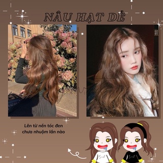Thuốc nhuộm tóc Nâu hạt dẻ