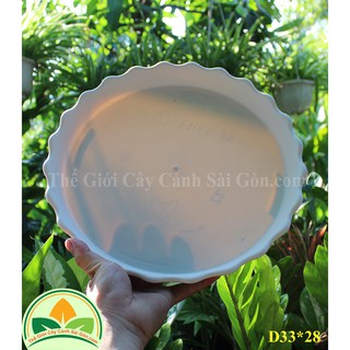 Đĩa nhựa tròn D33