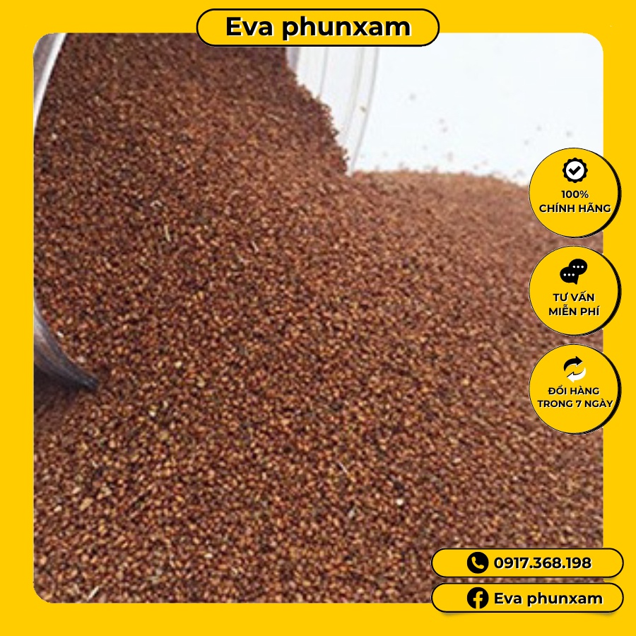 Mặt nạ rong biển (n.gũ h.oa)