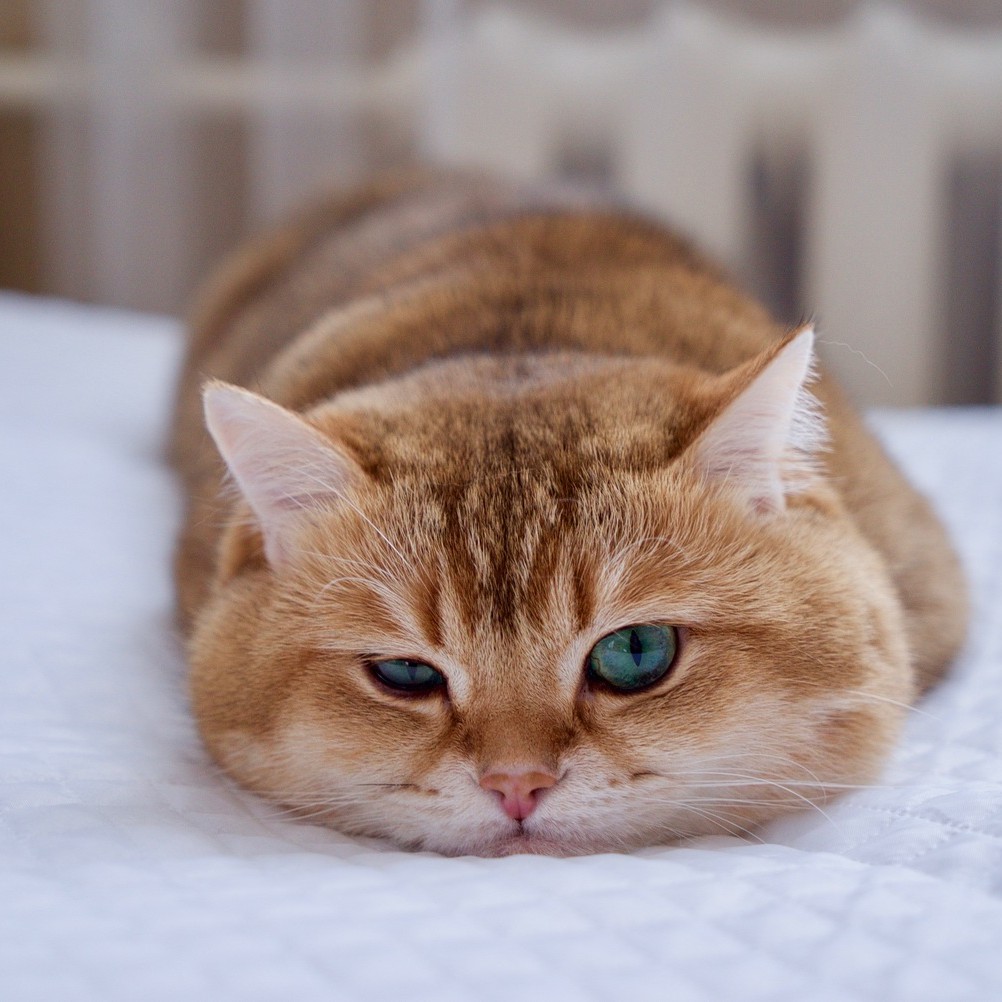 munnguyen141, Cửa hàng trực tuyến | BigBuy360 - bigbuy360.vn