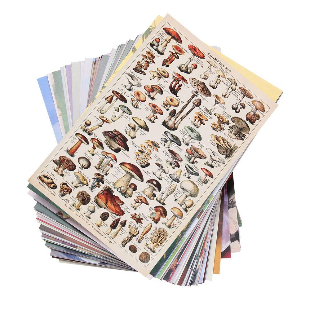 Set 50 Miếng Dán Tường Trang Trí Hình Cây Cối Nghệ Thuật Phong Cách Vintage Dành Cho Phòng Ngủ