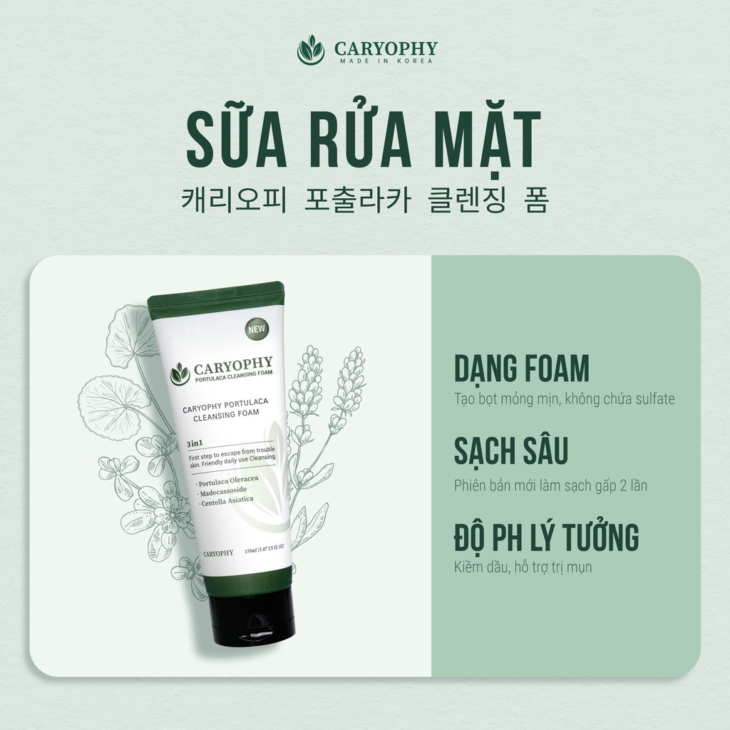 Sửa rửa rặt hỗ trợ làm sạch mụn hiệu quả caryophy portulaca cleansing foam 150ml skin hub