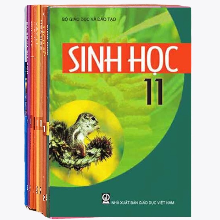 Sách - Trọn bộ 15 cuốn sách giáo khoa lớp 11 (Tiếng Anh chương trình mới)