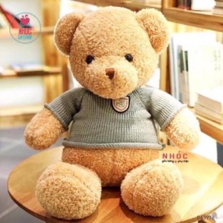 (Có sẵn)Gấu teddy mặc áo len 70cm