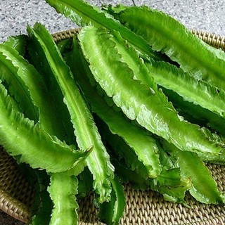 Hạt giống đậu rồng