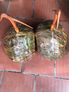 Lồng cu gáy quả đào