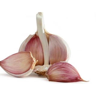 1KG củ tỏi nhiều nhánh lớn
