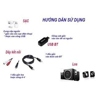 USB Bluetooth Music Receiver PT-810