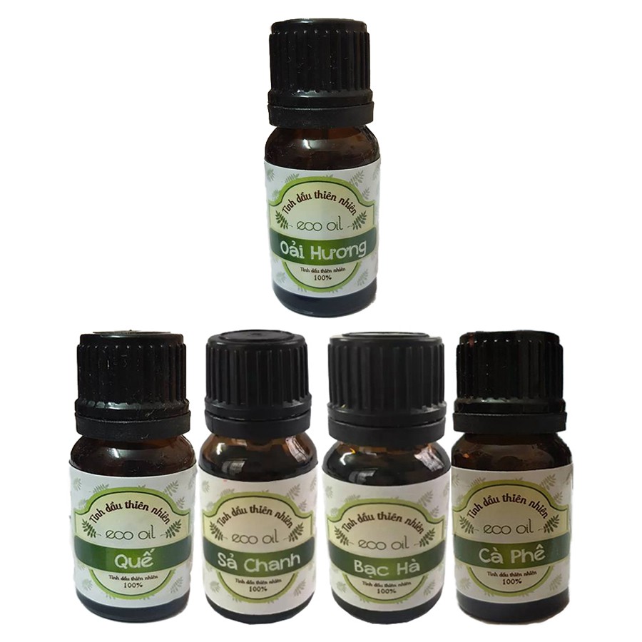 Combo 5 chai tinh dầu (oải hương, quế, sả chanh, bạc hà, cà phê) Eco oil 10ml