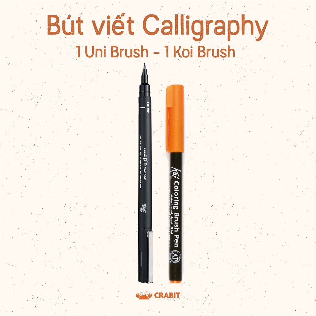 [CRABIT DEAL] Combo 2 bút luyện viết Calligraphy chuyên dụng