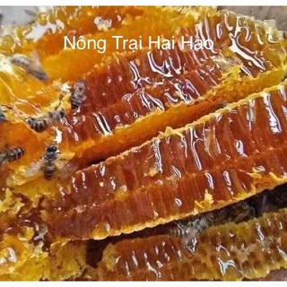 Mật ong thơm ngon nguyên chất hoa cà phê