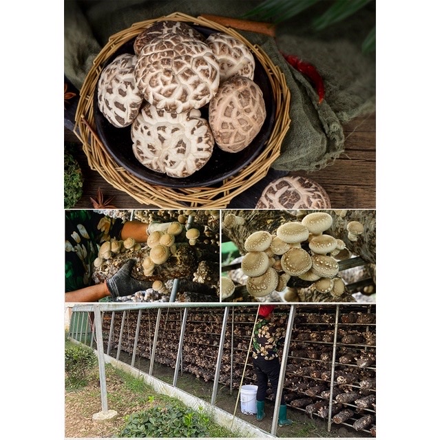 Nấm Đông Cô Trắng Nhật Bản 500g