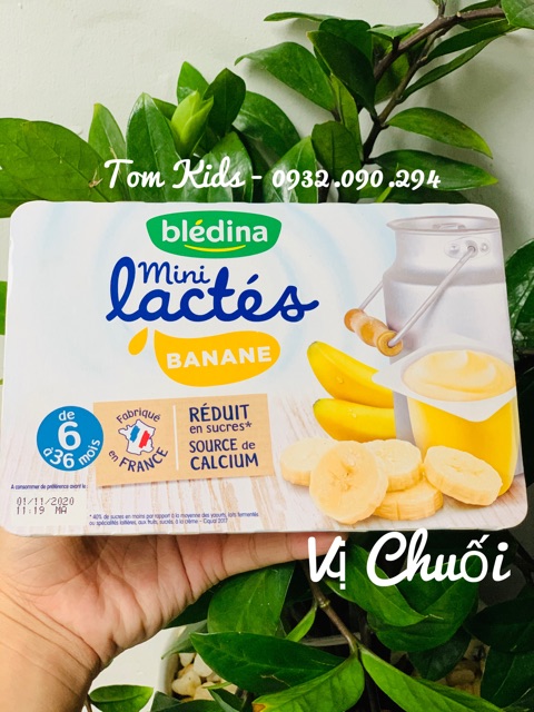 SỮA CHUA BLEDINA PHÁP 6*55g