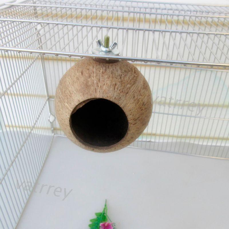 Tổ Bằng Vỏ Dừa Cho Thú Cưng Vẹt Sóc Hamster Dễ Thương