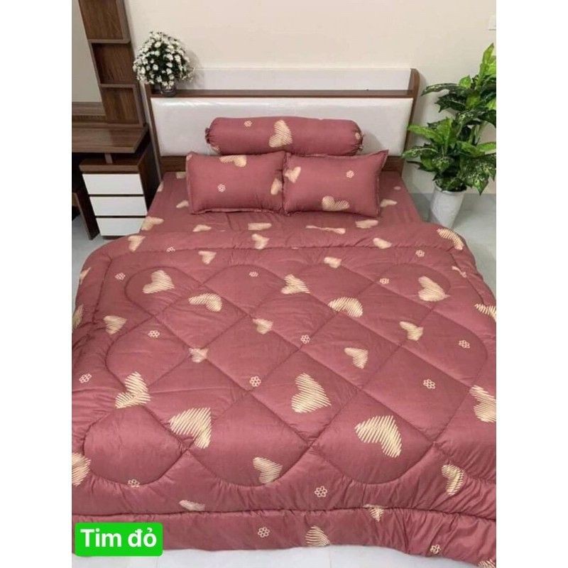 Set Chăn phao ga gối cotton poly 5 món. Được chọn mẫu.mới nhất năm 2021