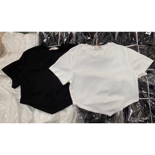 ÁO CROPTOP XẺ V THUN GÂN (ảnh thật)