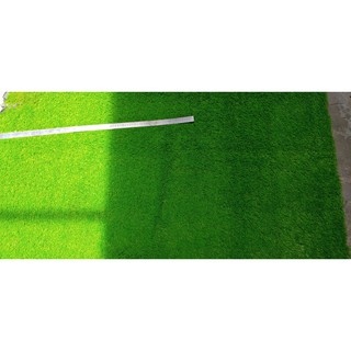 Cỏ nhân tạo trang trí, đế tốt, sợi cỏ bền màu - Thảm cỏ nhân tạo sân vườn, trải sàn, cao 3cm - kích thước 25x25cm