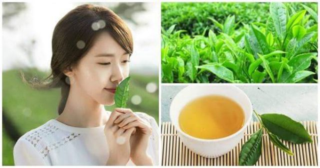 VACCI- SỮA RỬA MẶT TINH CHẤT TRÀ XANH - GREEN TEA FRESH SOOTHING FOAM CLEANSING