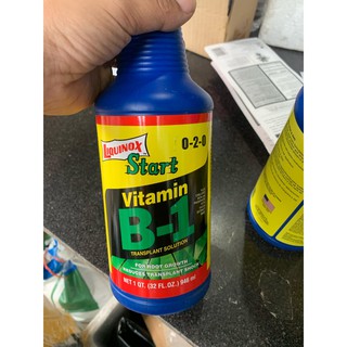 Phân bón vi lượng kích thích ra rễ Liquinox Start Vitamin B1 946ML