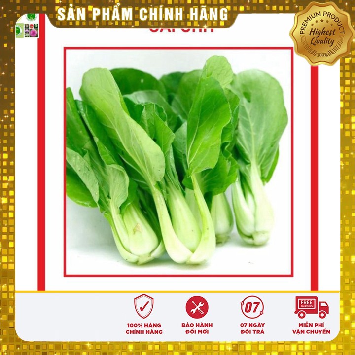 Hạt giống Cải Chít 20gram [Bán Sỉ]