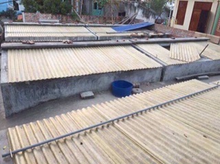 Mắm chắt Cát Hải combo loại 2+3