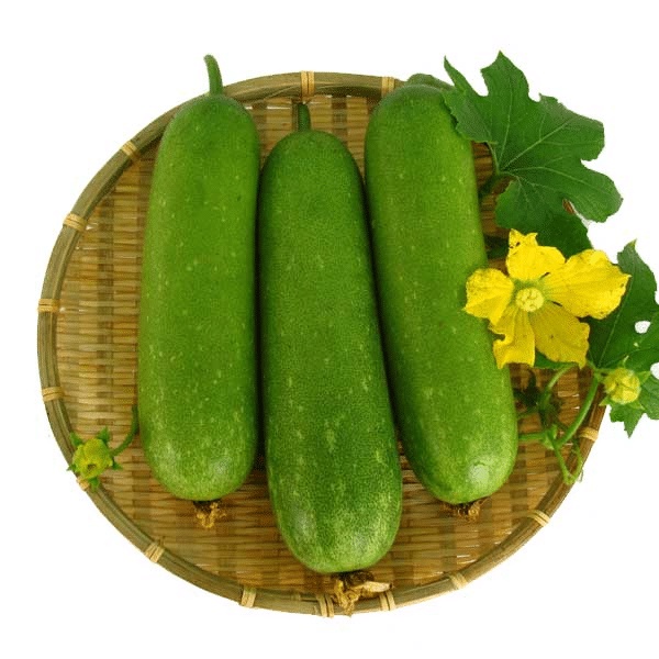Hạt Giống Bí Đao Chanh F1 WG9 Phú Nông Cho Trái To Và Nặng- Gói 0.2gr (HPN-020)