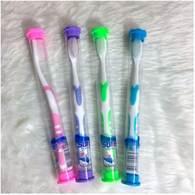 Hộp 30 bàn chải Thái Suree