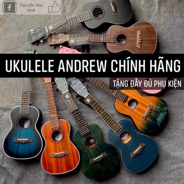 Đàn ukulele Concert Andrew chính hãng- tặng đủ phụ kiện