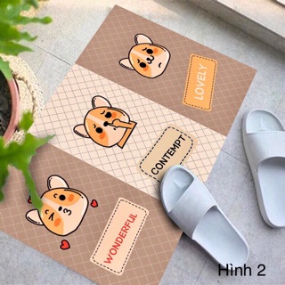 Thảm Lau Chân 3D sang xịn mịn