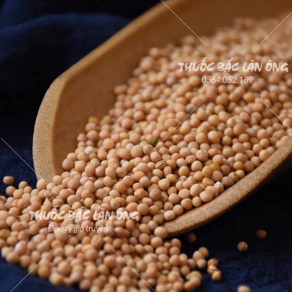 Bạch giới tử 1kg (Hạt cải trắng, bổ phế, long đờm)