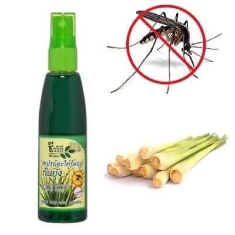 🦟 Xịt Đuổi Muỗi Bio Way Thái Lan 🇹🇭 Hương Sả Dễ Chịu