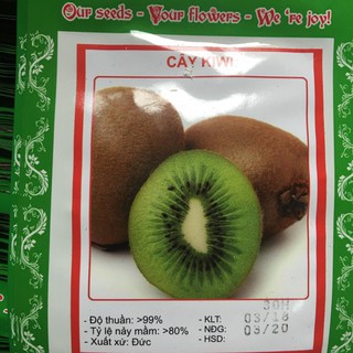  Hạt Giống Quả Kiwi 30 hạt