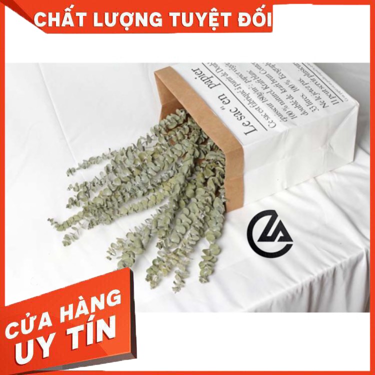 [SIÊU GIẢM GIÁ] Cành bạch đàn sấy khô trang trí/ chụp ảnh