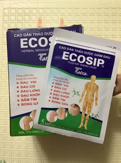 Cao dán thảo dược giảm đau Ecoship