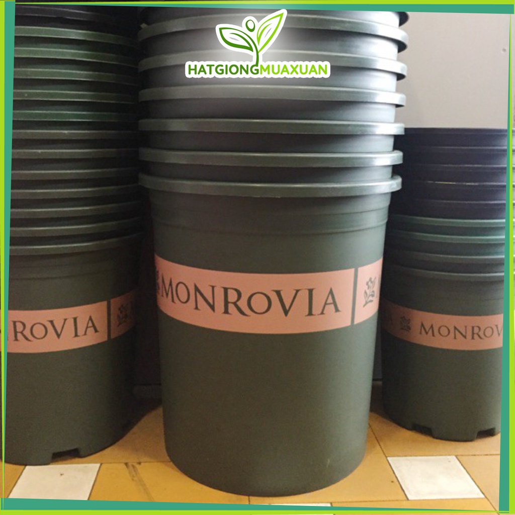 SET 3 Chậu monrovia số 5GL 28x31cm xuất xứ Trung quốc chính hãng