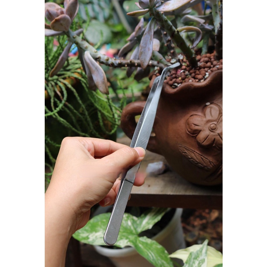 Nhíp gấp đa năng mũi cong dùng trang trí tiểu cảnh, gấp những vật khó size 17cm-25cm