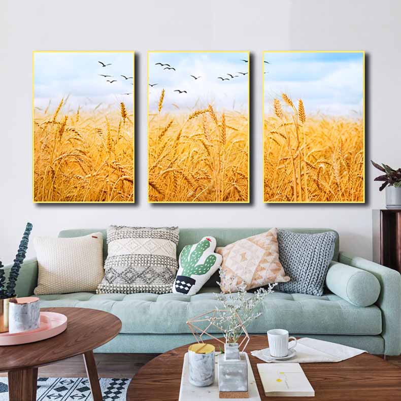 Bộ 3 tranh canvas treo tường Decor Cánh đồng lúa mạch – DC145