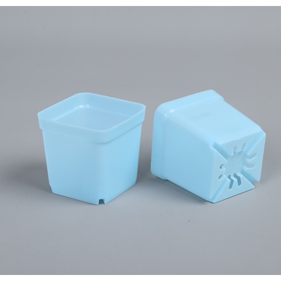 CVPPM5CM - 10 chậu vuông nhựa PP trồng sen đá bonsai xương rồng có 7 màu chọn - size 5x5cm