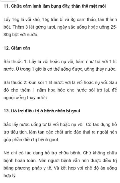 Lá Vối nếp Lâm Đồng tươi/khô uống trị bệnh