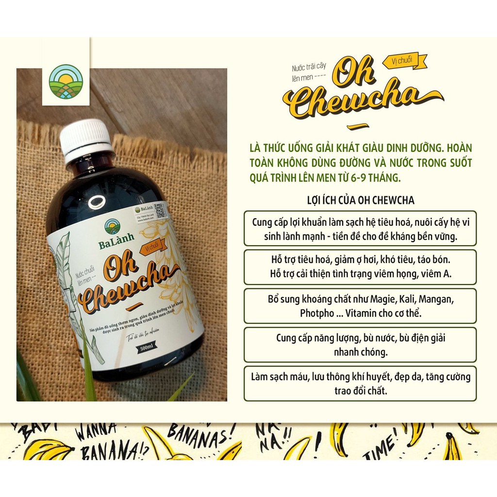 KOMBUCHA - Mật chuối lên men OH CHEWCHA 500ml - Ohchewcha Ba Lành - Helen Store