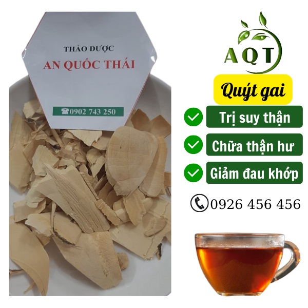 1Kg Cây Quýt Gai Khô - Quýt Gai Rừng Hỗ Trợ Người Suy Thận, Đóng Gói Sạch Sẽ, Chuẩn Thiên Nhiên | Thảo dược An Quốc Thái