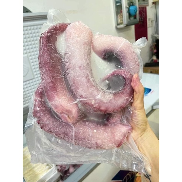 RÂU BẠCH TUỘT KHỔNG LỒ