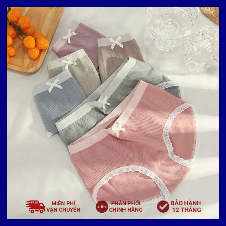 Quần Cotton viền ren họa tiết nơ gợi cảm MS1192