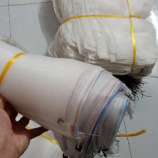 Túi bao bưởi cước thái (200 túi)