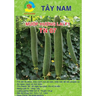 Hạt giống mướp hương nhật Tây Nam TN07 gói 20 hạt - 10g