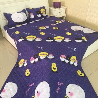 Set ga chun chăn hè