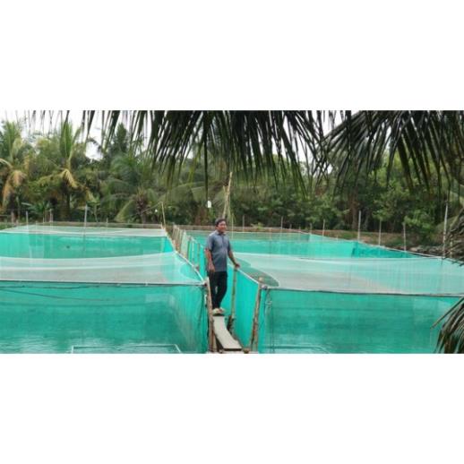 Tráng đựng cá, tráng nuôi cá, ếch, dèo đựng cá. Mùng nuôi cá. Vèo nuôi cá. lồng.