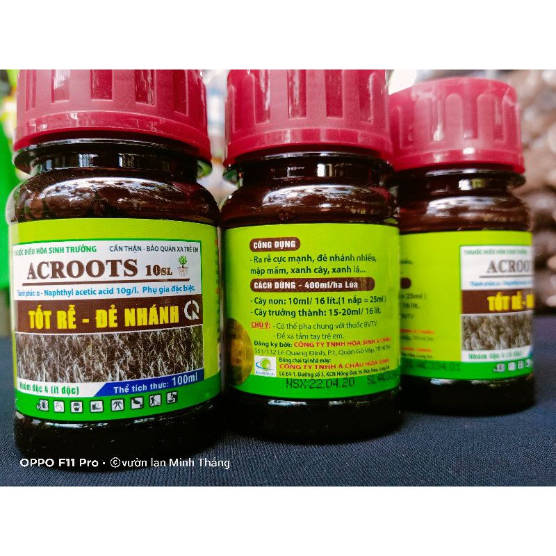 NAA Siêu kích rễ - Phân Bón Siêu Kích Rễ ACROOTS 10SL NAA Tốt Rễ Đẻ Nhánh - chai 100ml