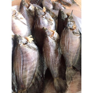 KHÔ CÁ SẶC BỔI - 500gr