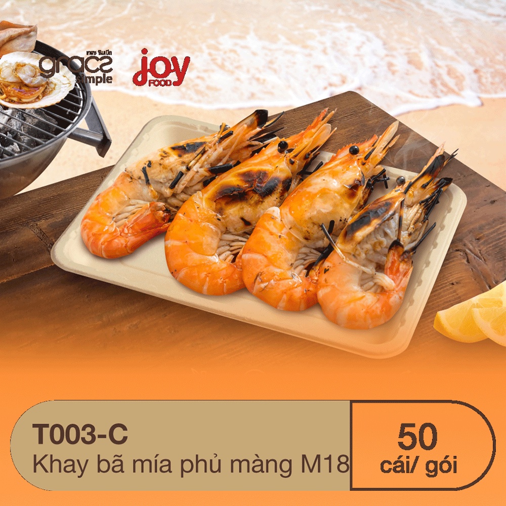 50 khay bã mía Gracz 243 x 188 x 20 mm, phủ màng dùng để đựng thịt tươi, hải sản, rau củ cao cấp